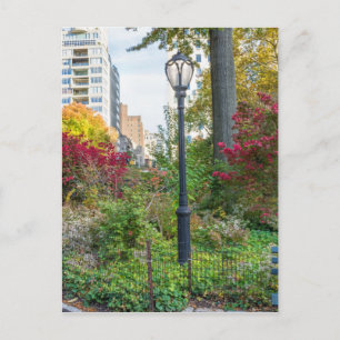 Carte Postale Lamppost et banc