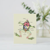 Carte Postale L'anatomie de la grenouille (Debout devant)