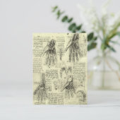 Carte Postale L'anatomie de la main humaine de Léonard de Vinci (Debout devant)