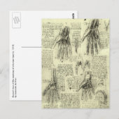 Carte Postale L'anatomie de la main humaine de Léonard de Vinci (Devant / Derrière)