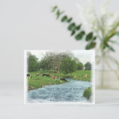 Carte postale Lancaster Amish ! Proverbe Amish ! V (Debout devant)