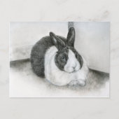 Carte Postale Lancelot (Devant)