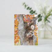 Carte Postale L'Ancien Arbre (Debout devant)