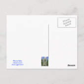 Carte Postale L'Ancien Pommier (Dos)