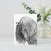 Carte Postale L'andalou (Debout devant)