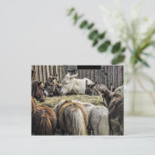 Carte Postale L'âne de la table ronde (Debout devant)