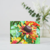 Carte Postale Langage des fleurs la coneflower (Debout devant)