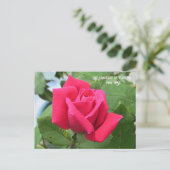Carte Postale Langage des Fleurs Rose Rose (Debout devant)