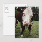 Carte Postale Langue d'arrachage de vache (Devant / Derrière)