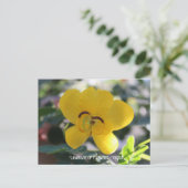Carte Postale Langue des fleurs : Cassia (Debout devant)