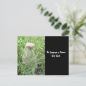 Carte Postale Langue des fleurs chardon (Debout devant)