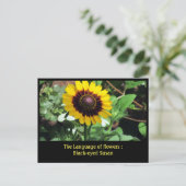 Carte Postale Langue des fleurs : Susan à oeil noir (Debout devant)