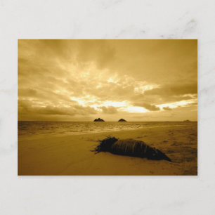 Carte postale Lanikai Sunrise