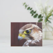 Carte Postale Lanner Falcon (Debout devant)