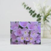 Carte postale Lantana Flower (Debout devant)