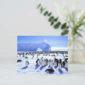 Carte Postale L'Antarctique, péninsule antarctique, mer de (Debout devant)