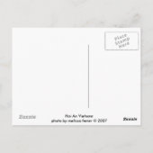 Carte Postale lanternes (Dos)