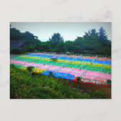 Carte Postale Lanternes à Seokguram Grotto, Corée du Sud (Devant)