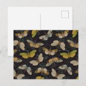 Carte Postale Lanternflies - Pyrops Candelaria & autres Planthop (Devant / Derrière)