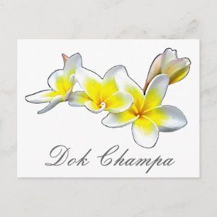 CARTE POSTALE LAO FLOWER DOK CHAMPA - PLUMERIA RUBRA