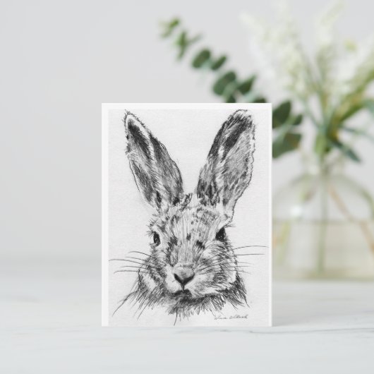Carte Postale Lapin (Debout devant)