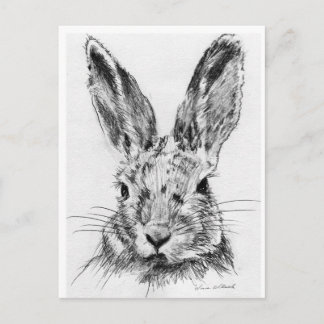 Carte Postale Lapin
