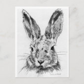 Carte Postale Lapin (Devant)