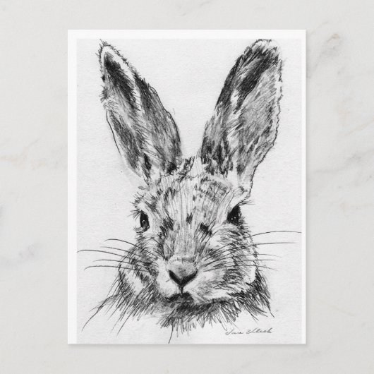 Carte Postale Lapin (Devant)