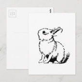 Carte Postale lapin (Devant / Derrière)