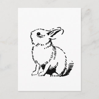 Carte Postale lapin