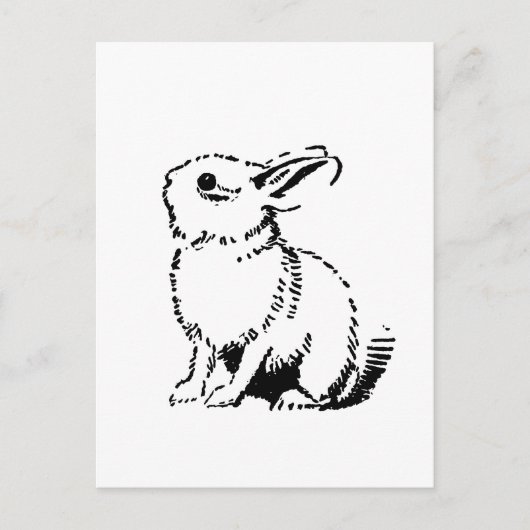 Carte Postale lapin (Devant)