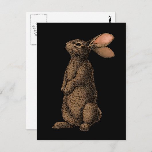 Carte Postale Lapin (Devant / Derrière)