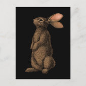 Carte Postale Lapin (Devant)