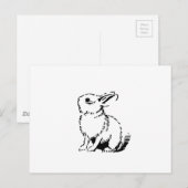 Carte Postale lapin (Devant / Derrière)