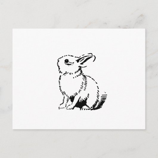 Carte Postale lapin (Devant)