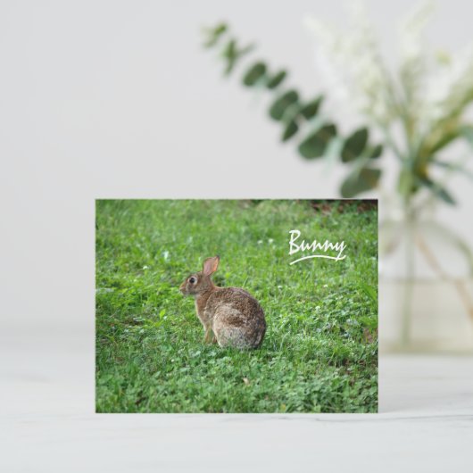 Carte Postale Lapin (Debout devant)
