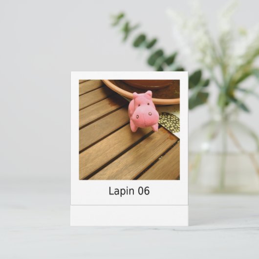 Carte Postale Lapin 06 (Debout devant)