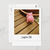 Carte Postale Lapin 06 (Devant / Derrière)