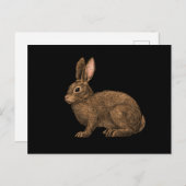 Carte Postale Lapin 2 (Devant / Derrière)