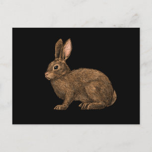 Carte Postale Lapin 2