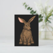 Carte Postale Lapin 3 (Debout devant)