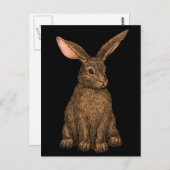 Carte Postale Lapin 3 (Devant / Derrière)