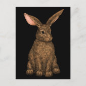 Carte Postale Lapin 3 (Devant)