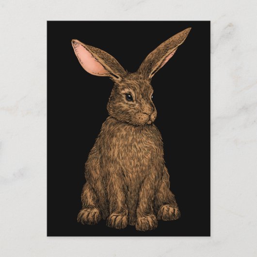 Carte Postale Lapin 3 (Devant)