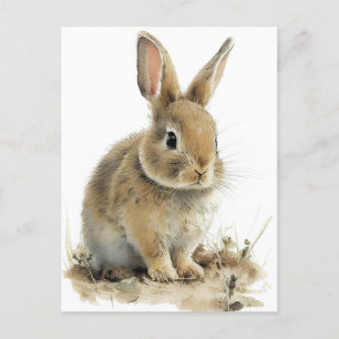 Carte postale lapin adorable en aquarelles