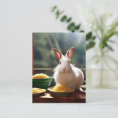 Carte Postale Lapin Angora Avec Spaghetti (Debout devant)