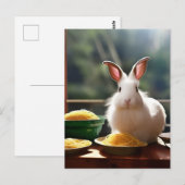 Carte Postale Lapin Angora Avec Spaghetti (Devant / Derrière)