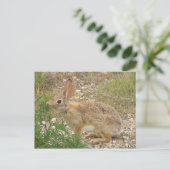 Carte Postale Lapin Au Souper (Debout devant)