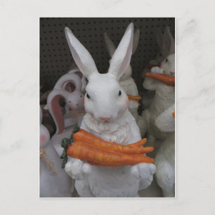 Carte Postale Lapin Avec Carotte