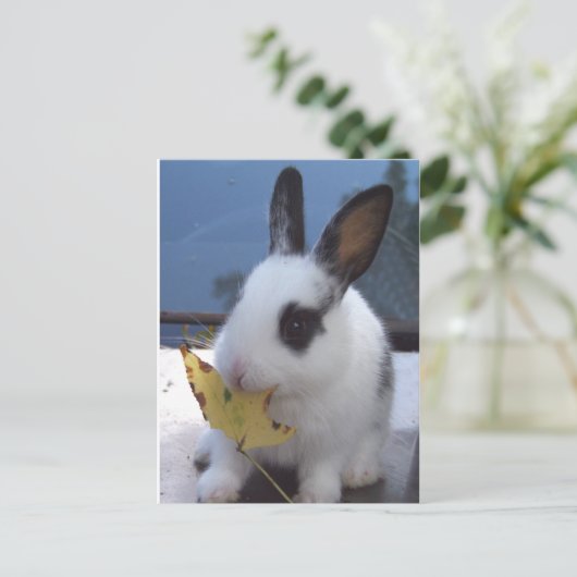 Carte Postale Lapin avec feuille (Debout devant)